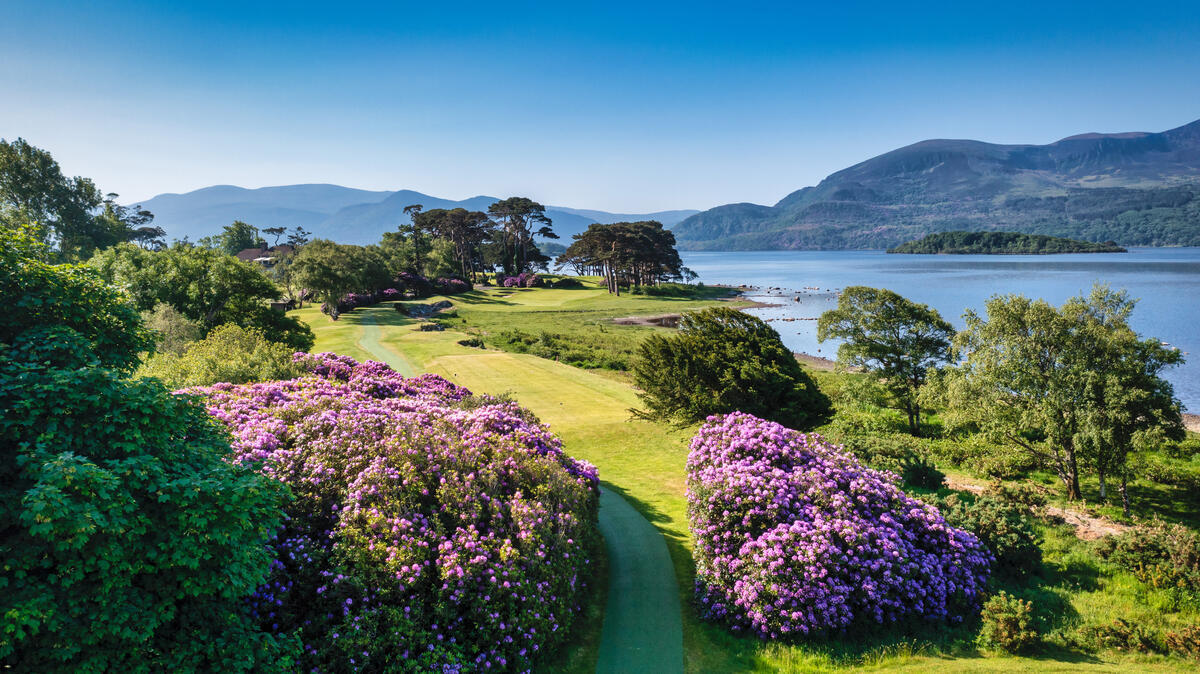 Killarney landscape